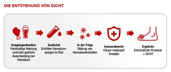 Wie Hoch Darf Harnsäure Sein