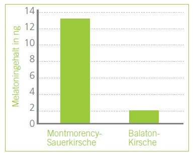 Grafik: Montmorency Sauerkirsche enthält um einiges mehr Melatonin als die Balaton Kirsche.