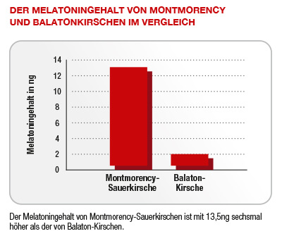 Der Melatonin-Gehalt der Montmorency Sauerkirsche ist etwa 6 mal höher als der von Balaton Kirschen.